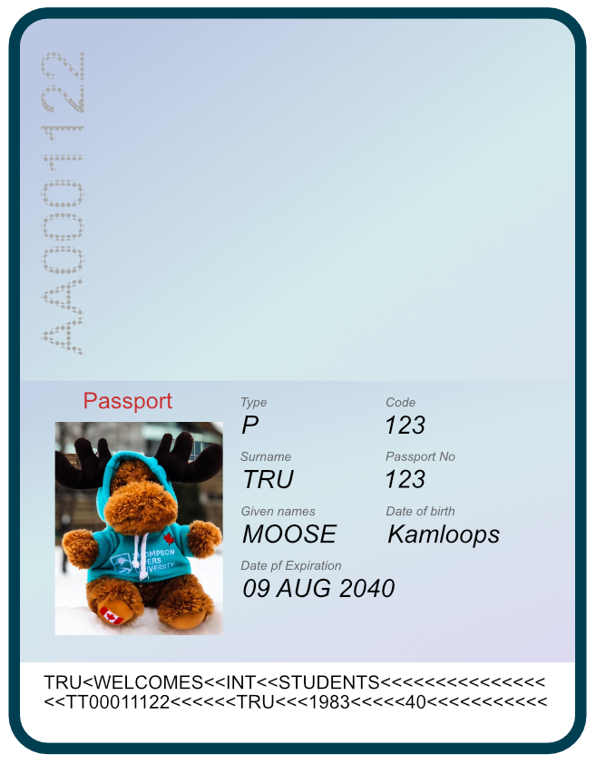 Example of passport photo page